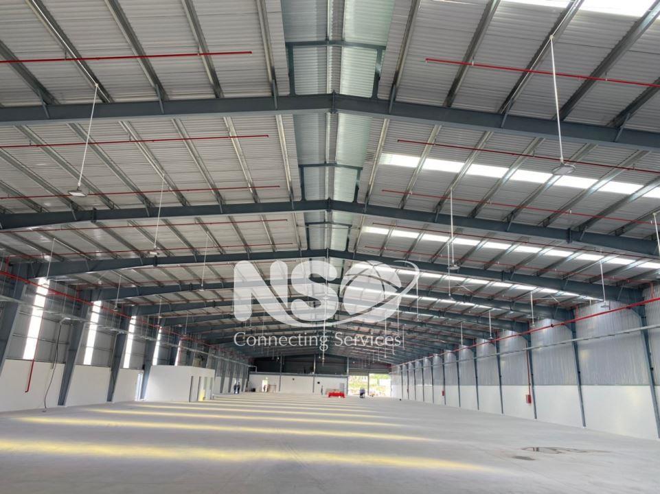 Factory for lease in Loc An Binh Son IP