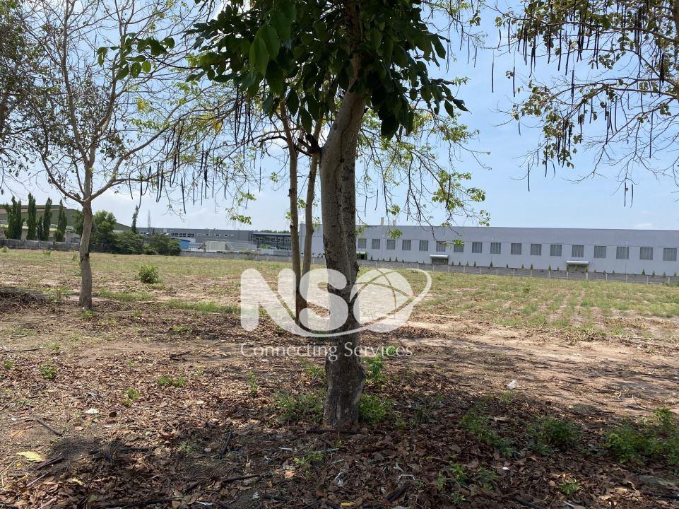 Land for sale in Nhon Trach Textile Industrial Park